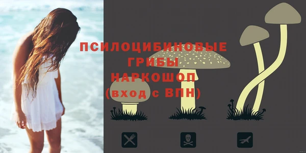 прущие крисы Ладушкин