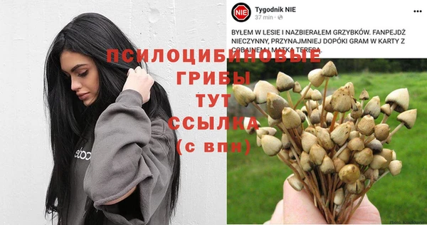 синтетический гашиш Лабытнанги