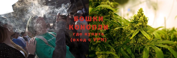 прущие крисы Ладушкин