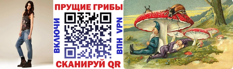 цены   Шахты  Галлюциногенные грибы MAGIC MUSHROOMS 
